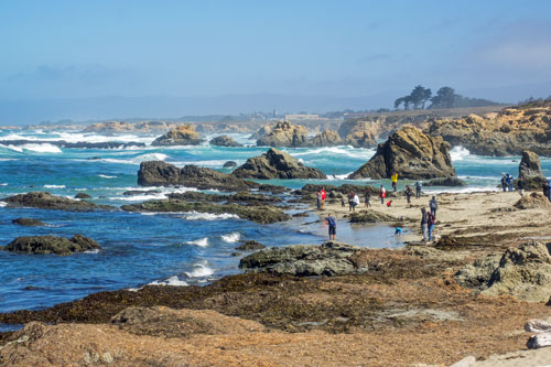 tidepools  at MacKerricher State Park, Mendocino County, CA