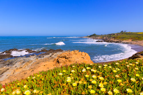 Bean Hollow Beach, San Mateo County, California