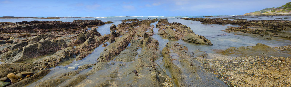 Fitzgerald Reserve tidepools, San Mateo County, California