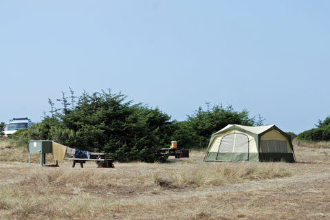 Gold Bluffs Beach campground in Prairie Creek Redwoods State Park, Humboldt County, California