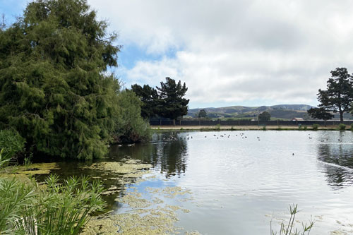 Ocano Lagoon, Oceano Campground, Pismo State Beach, San Luis Obispo County, CA