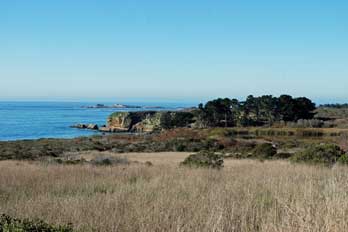 Pond area near Cove Beach at Ano Nuevo, CA