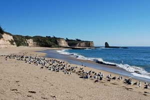 Laguna Creek Beach, Santa Cruz County, CA