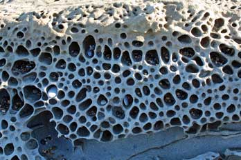 Tafoni at Pebble Beach, San Mateo County, CA