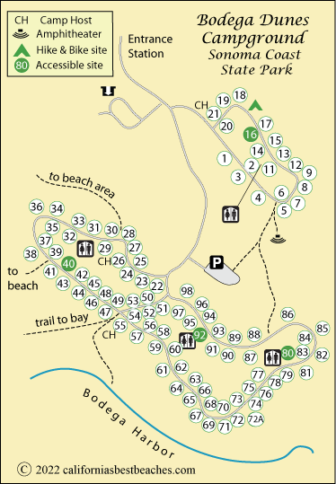 map of Sonoma Coast State Park's Bodega Dunes Campground, CA